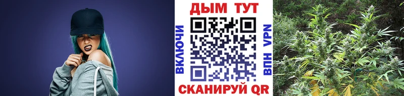 kraken зеркало  купить наркоту  мориарти как зайти  Каннабис MAZAR  Ильский 